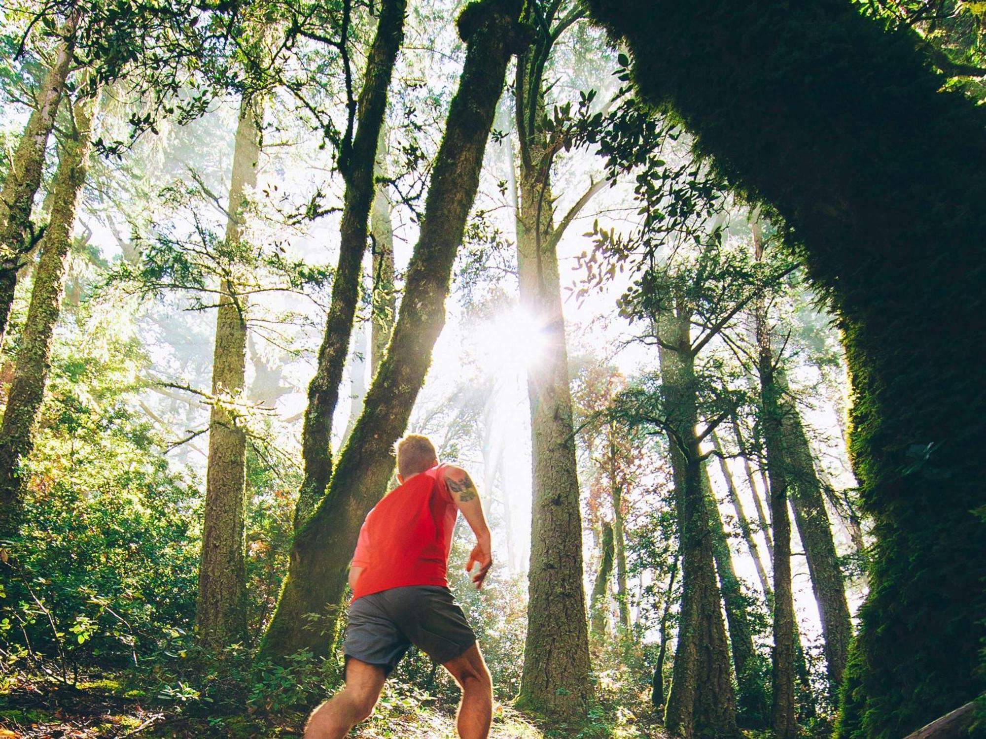 Fairmont San Francisco Hotel Екстериор снимка A trail runner in the forest